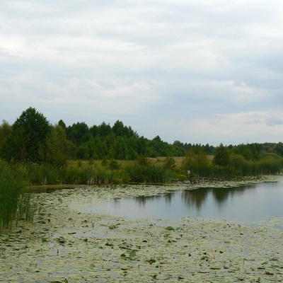 Мегаматрассс східним Поліссям (2011)