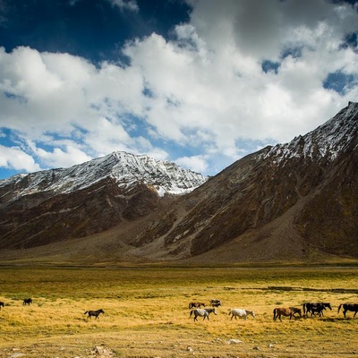 Индия. Тибет