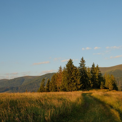 Carpathians in August